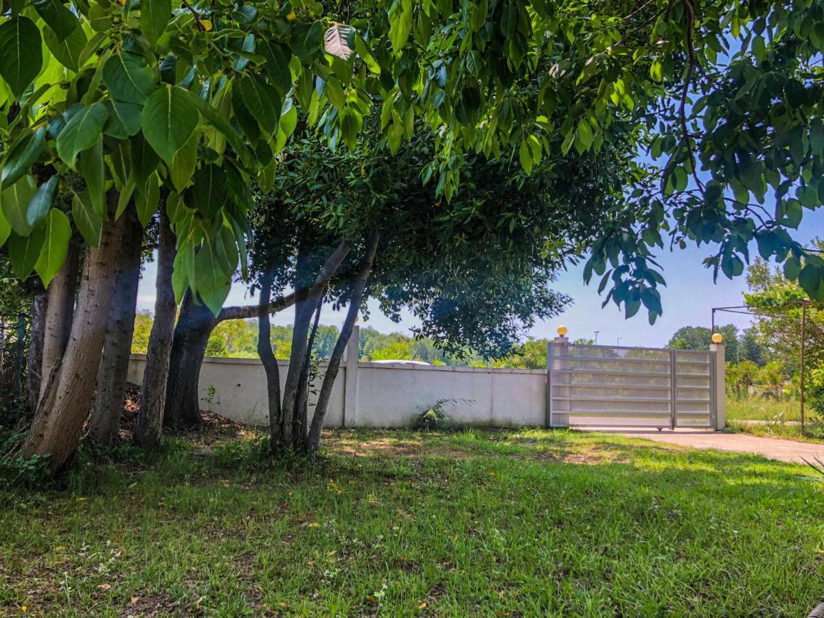 אולסינץ' Renata Holiday Apartments מראה חיצוני תמונה